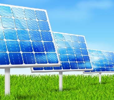 Solar Farm Vector